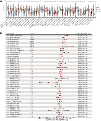 Prognostic value and immune-infiltration pattern of FOXD3-AS1 in patients with glioma